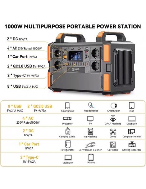 Generatore solare portatile Flashfish F132 1041.6Wh/1000W batteria LiFePo4 uscita 230V AC 19 uscite versione UE Qualità Garantita