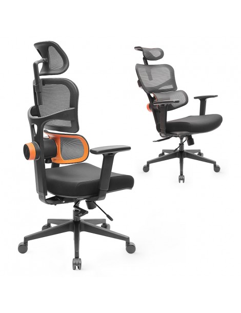 NEWTRAL Sedia Standard NT001 Sedia ergonomica adattiva con supporto per la parte bassa della schiena Presa