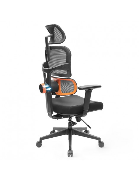 NEWTRAL Sedia Standard NT001 Sedia ergonomica adattiva con supporto per la parte bassa della schiena Presa