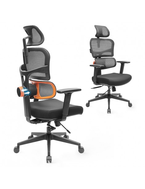 NEWTRAL Sedia Standard NT001 Sedia ergonomica adattiva con supporto per la parte bassa della schiena Presa