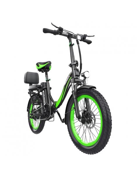 Hidoes C1 Bici Elettrica Pieghevole con Sella Posteriore Motore 750W Batteria 48V 13Ah Pneumatico Grasso 20*3 pollici 2025
