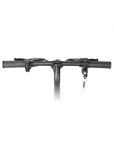 LAIFOOK Dolphin Bici Elettrica Pieghevole Motore 250W Batteria 36V 7.8AH Pneumatico 14 pollici - Nero Nuovo